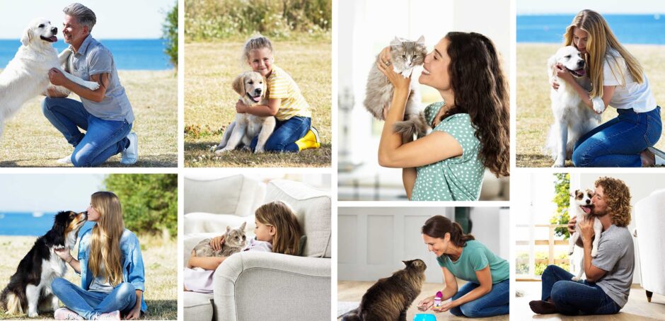 Campaign images for swedencare proden plaqueoff by Adentity. Animals, dogs, cats, humans