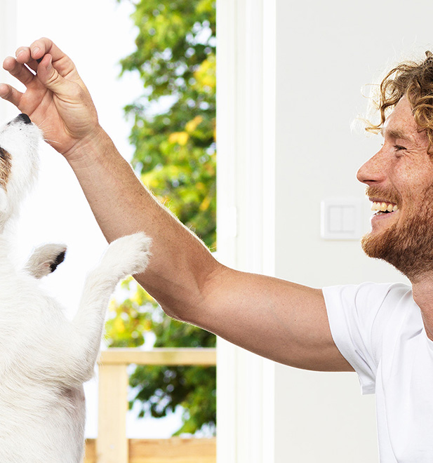 Concept image topbanner for Swedencare , man giving treats to a dog. By Adentity